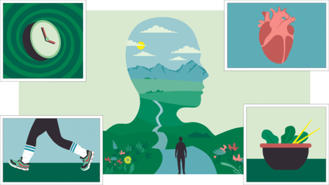 Imprint learning subjects