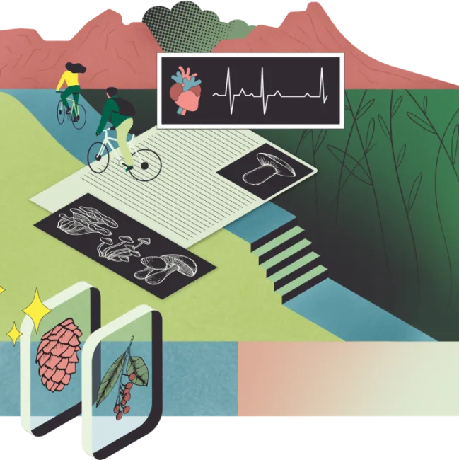 Understand books and essential topics